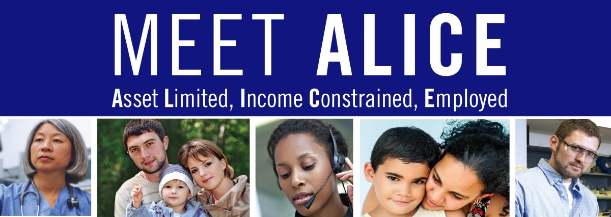 Meet ALICE Asset Limited, Income Constrained, Employed